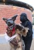 Pickled Image, Big Bad Wolf - JPEG - 68.5 ko - 400×600 px
